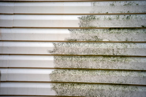 Best Attic Cleanout  in Lla Lla East, WA
